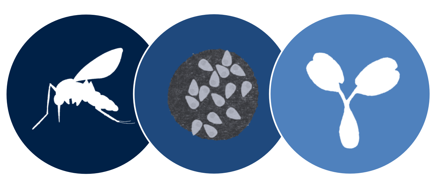 Draper group logo