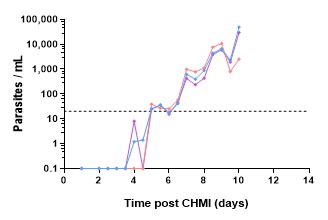 parasite growth graph