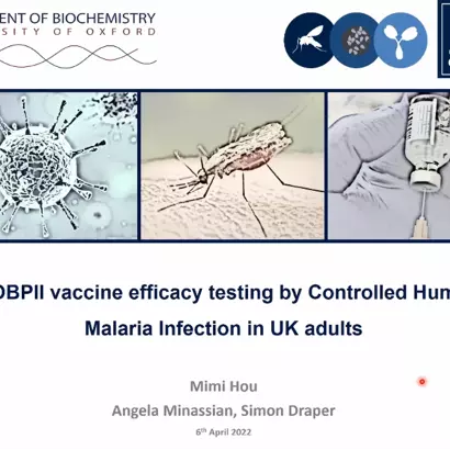 pvdbpii slide