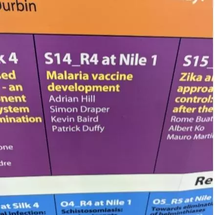 ictmm2020 malaria vaccine session