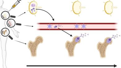 front immunol review image cn
