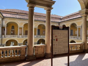 Pavia