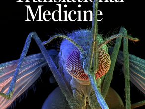STM 2023 15 704 cover 