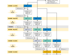 vac069paper