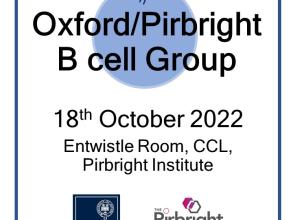 b cell meeting sign oct