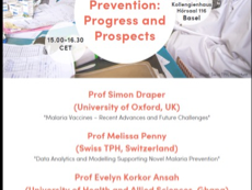 brcch basel programme