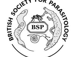 bsp logo