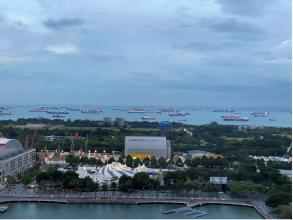 harbour view singmalnet