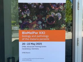 heidelberg embl malaria poster