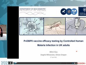 vivax meeting